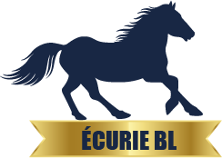 écurie BL